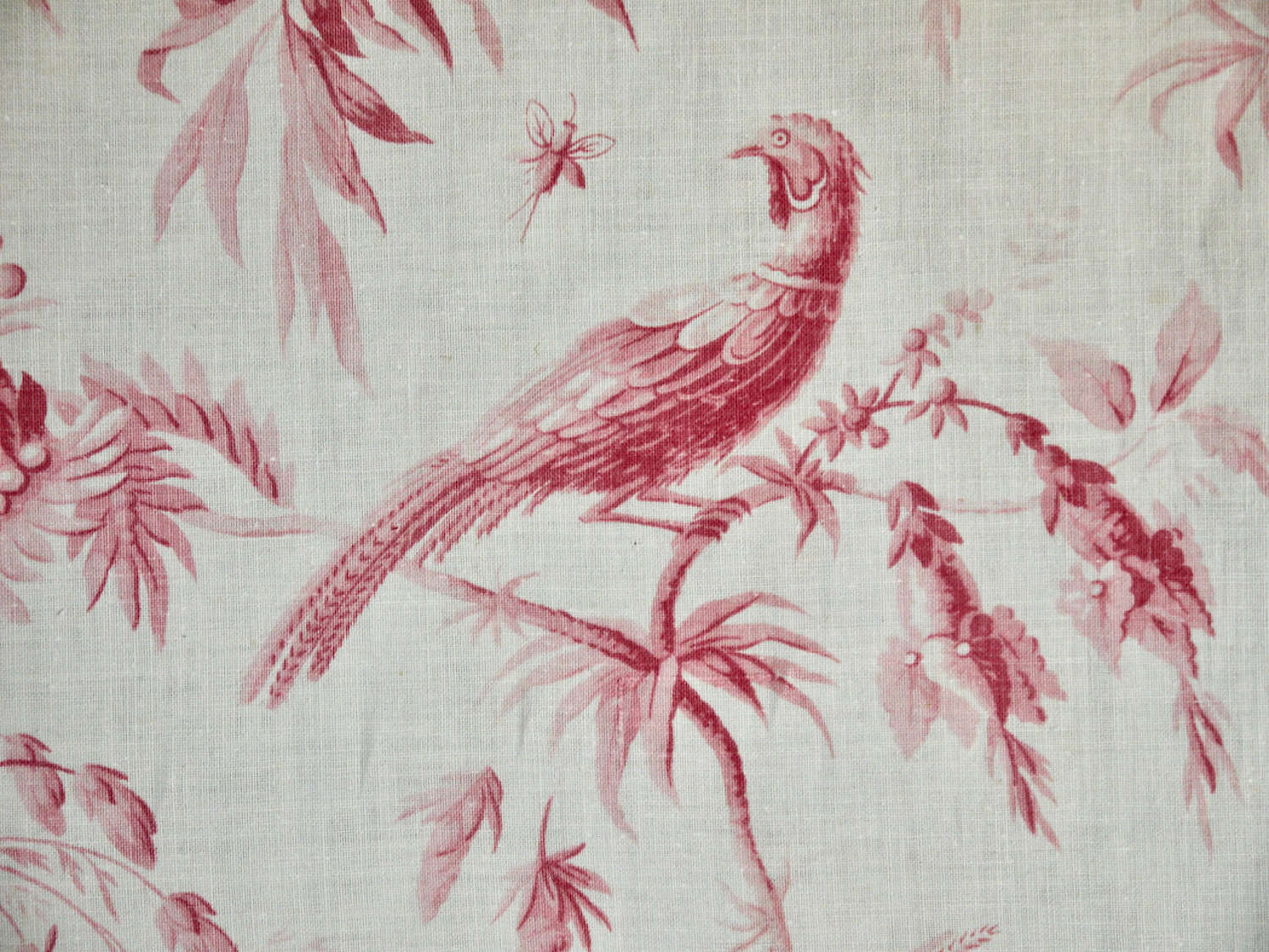 Pink Birds Single Curtain French 19th Century