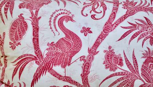 Bird Indienne Cushion French 19th Century