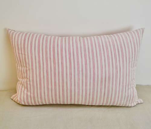 Bird Indienne Cushion French 19th Century