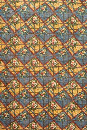 Printed Cotton French Circa 1920s