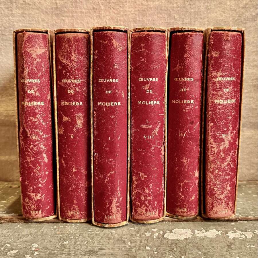 Set of 6 Faux  Books French 20th Century